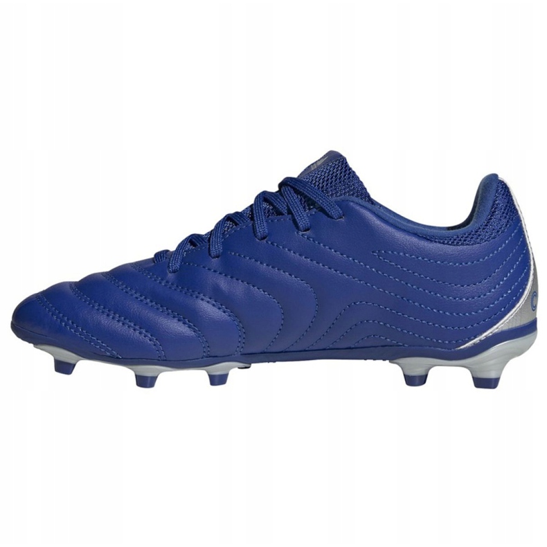 Ghete de fotbal adidas Copa 20.3 Fg Jr EH1810 alb albastru 2