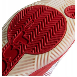 Pantof de baschet Adidas Pro Boost Low M FW9503 multicolor alb 1