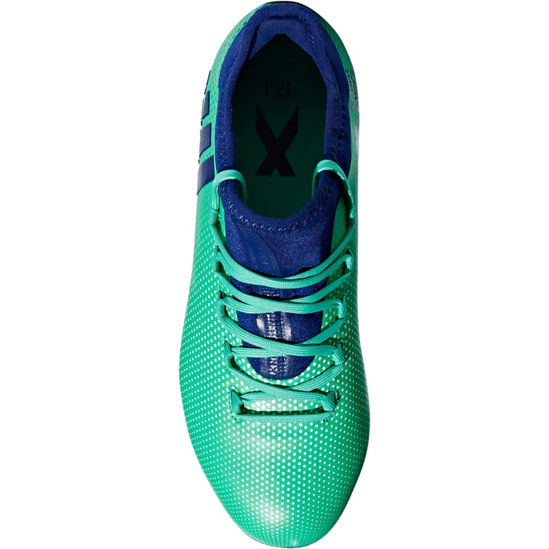Ghete de fotbal Adidas X 17.1 Fg Jr CP8980 multicolor albastru 1