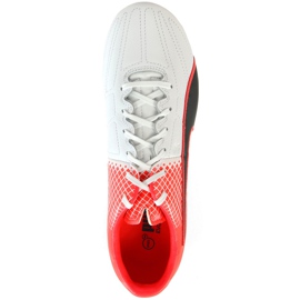 Ghete de fotbal Puma Evo Speed ​​3.5 Fg Leather 103794 01 albastru, alb, negru multicolor 1