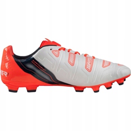 Ghete de fotbal Puma Evo Power 1.2 Ag 103213 05 gri 1