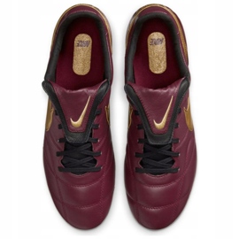 Încălțăminte de fotbal Nike Premier Nike Ii Fg M 917803 690 multicolor burgundia, auriu 1