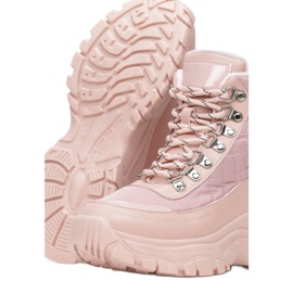 Vices Viciile 8615-45-roz 1 Vices Viciile 8615-45-roz 1