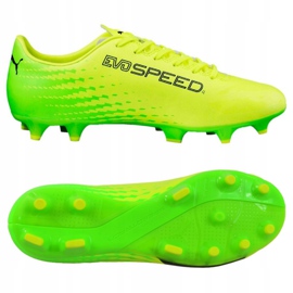 Ghete de fotbal Puma Evo Speed ​​17.4 Fg M 104017 01 verde 2