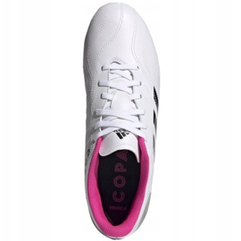 Ghete de fotbal Adidas Copa Sense.4 FxG M FW6536 multicolor alb 2