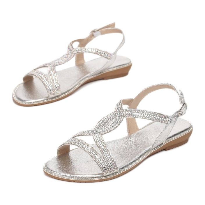 Vices Viciile Q-93-52-argint 1