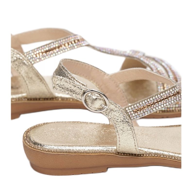 Vices Viciile Q-93-60-aur de aur 1