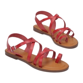 Vices Viciile 9019-7-64-ed roșu 1