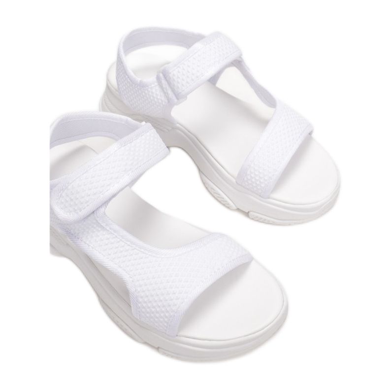 Vices Viciile 0276-263-71-alb 1