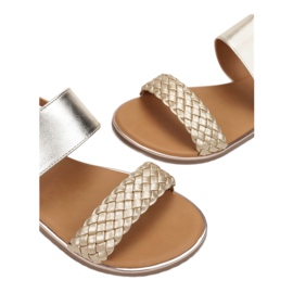 Vices Viciile 123-9-60-aur de aur 1