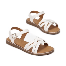 Vices Viciuri 123-8-71-albe 1 Vices Viciuri 123-8-71-albe 1