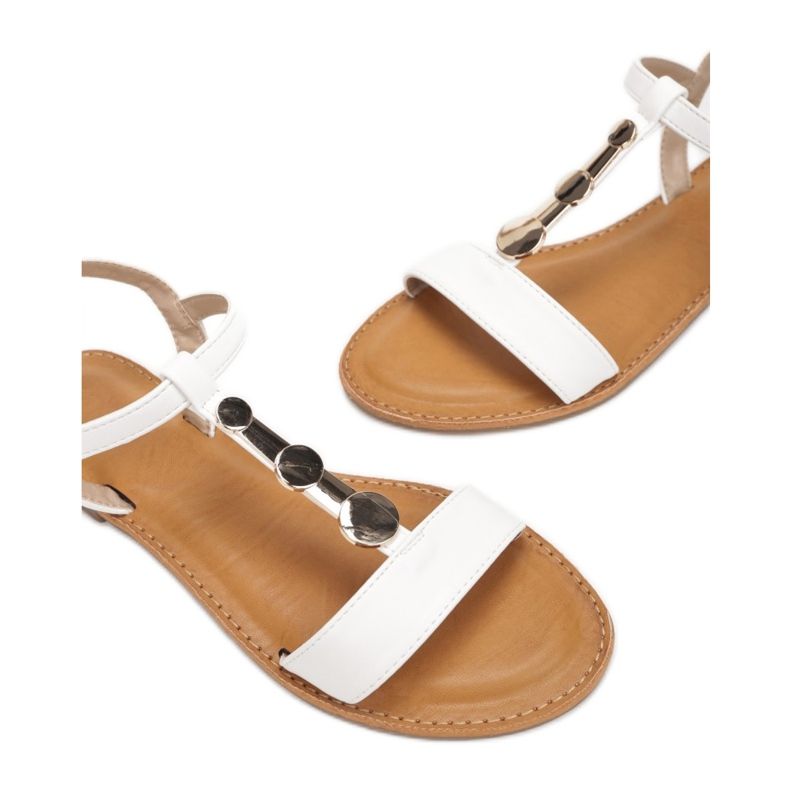 Vices Viciile 1955-9-71-alb 1