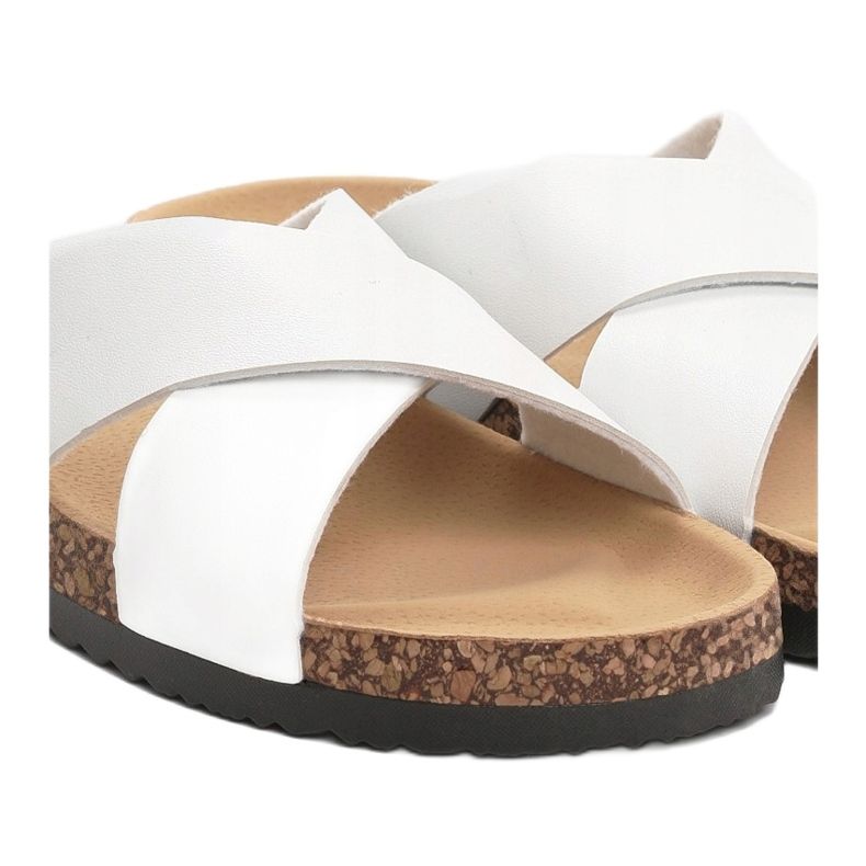 Vices Viciile 2004-71-alb 1