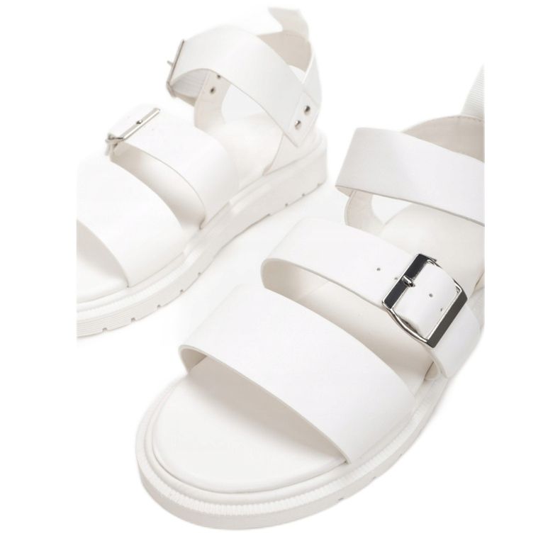 Vices Viciuri 1957-1-71-alb 1