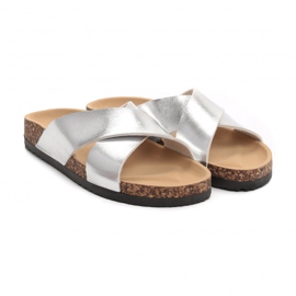 Vices Viciile 2004-52-argint 1