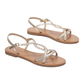 Vices Viciile 8839-105-60-aur de aur 1