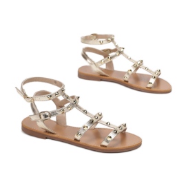 Vices Viciile 8839-301-60-aur de aur 1 Vices Viciile 8839-301-60-aur de aur 1