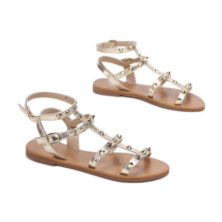 Vices Viciile 8839-301-60-aur de aur 1 Vices Viciile 8839-301-60-aur de aur 1