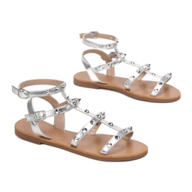 Vices Viciile 8839-301-52-argint 1