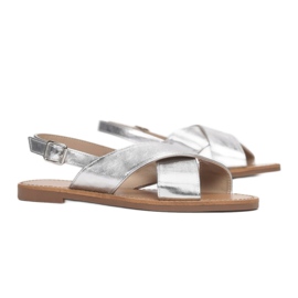 Vices Viciile 8839-754-52-argint 1