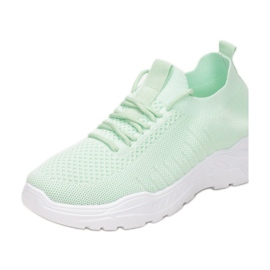 Vices Vici CM-1070-61-verde 1