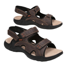 Vices Viciile A9003-137-d. Maro 1