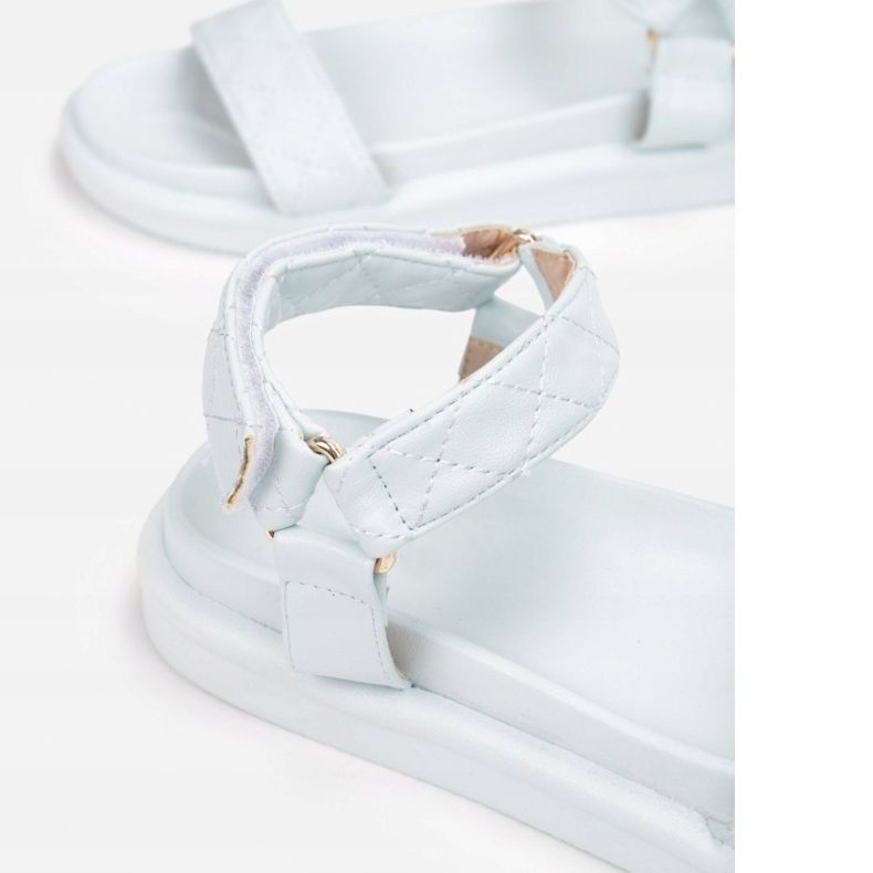 Vices Viciile 1089-94-l. albastru 1