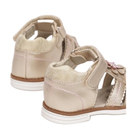 Vices Vici T19-48-60-aur de aur 1 Vices Vici T19-48-60-aur de aur 1