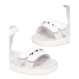 Vices Vici T51-73-71-alb 1