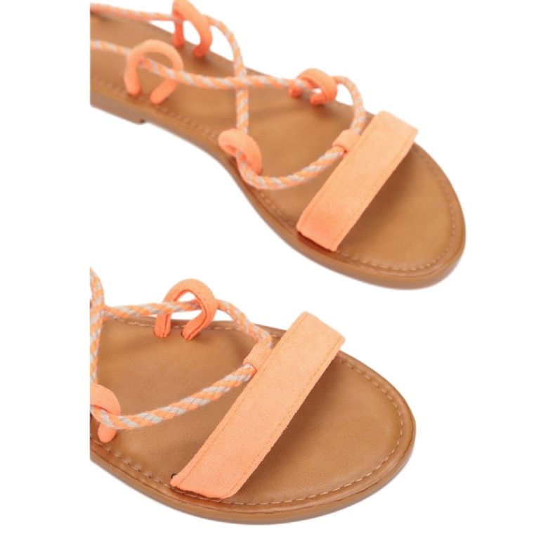 Vices Viciile 2041-67-portocalii portocale 1