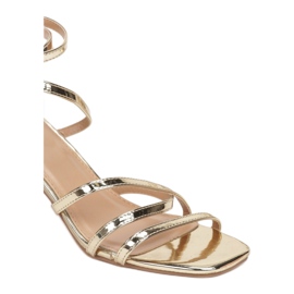 Vices Viciile TINA41-60-aur de aur 1 Vices Viciile TINA41-60-aur de aur 1