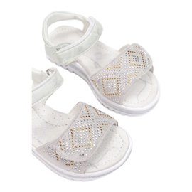 Vices Viciile T54-86-52-argint 1