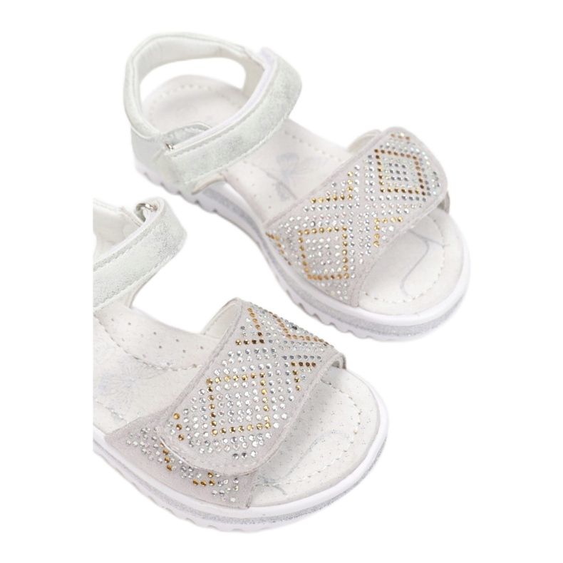 Vices Viciile T54-86-52-argint 1