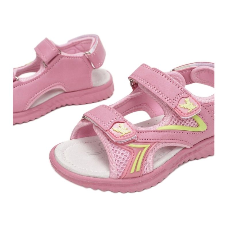 Vices Viciile T54-52-45-roz 1