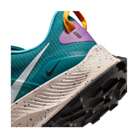 Pantof de alergare Nike Pegasus Trail 3 M DA8697-300 albastru 1