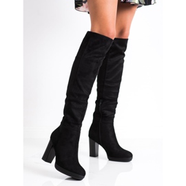 Seastar Cizme elegante pe un stâlp negru 1