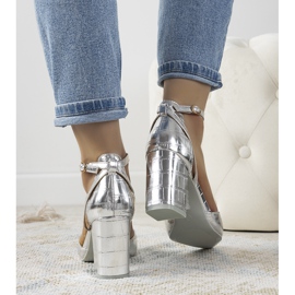 Pompe de argint pe stâlpul Davies 1