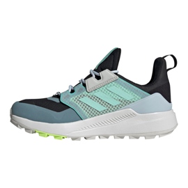 Pantofi Adidas Terrex Trailmaker Gtx W FX4694 albastru 1