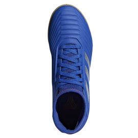 Încălțăminte de interior adidas Predator 19.3 In Jr CM8543 multicolor albastru 1
