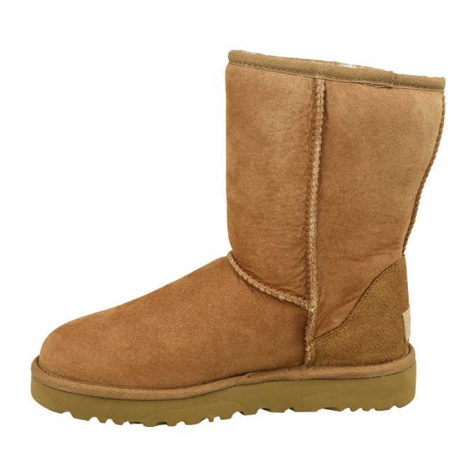 Ugg Classic Short Ii W 1016223-CHE maro 1