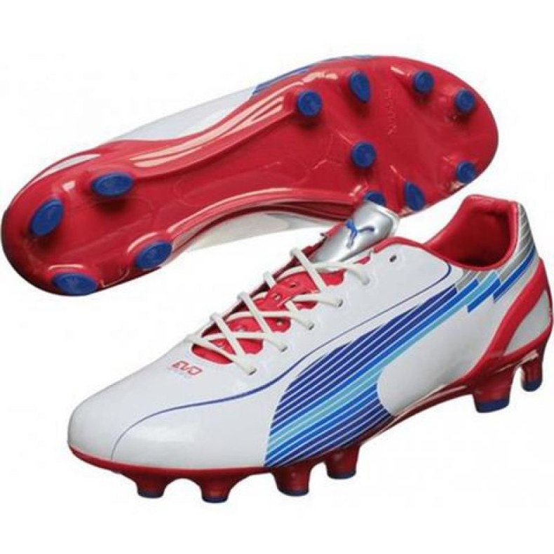 Ghete de fotbal Puma Evo Speed ​​1 Fg M 102527 01 alb alb 1