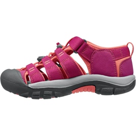 1014267. Keen Newport H2 Jr. roz roz 1