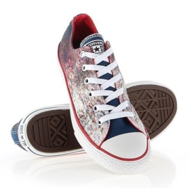 Converse Chuck Taylor All Star Jr 647644C multicolor 1