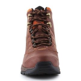 Pantofi Ariat Berwick Gtx W 10016298 maro 2