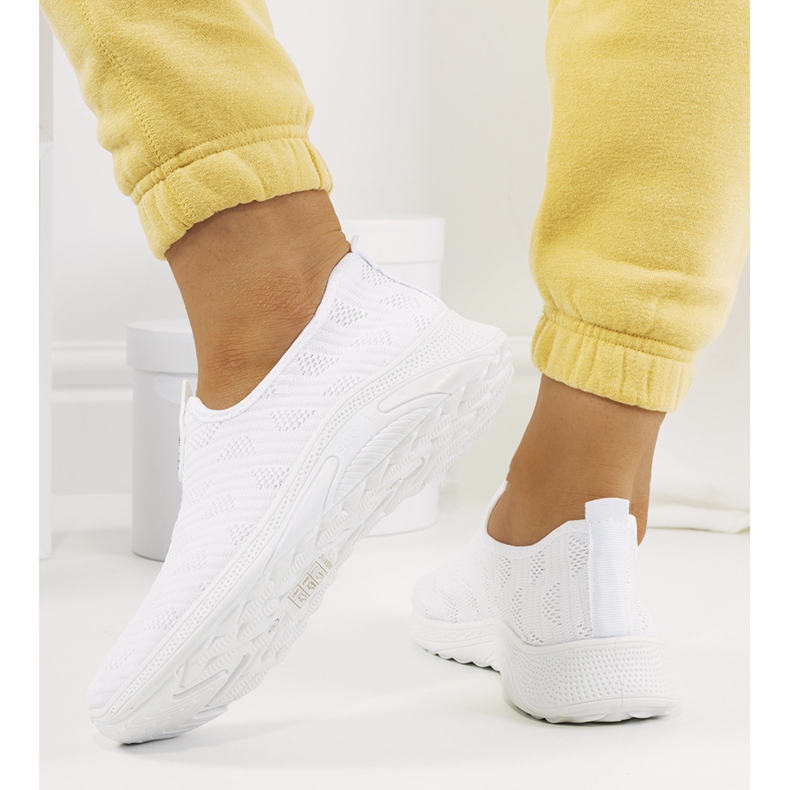 Pantofii albi ai lui Abby 1