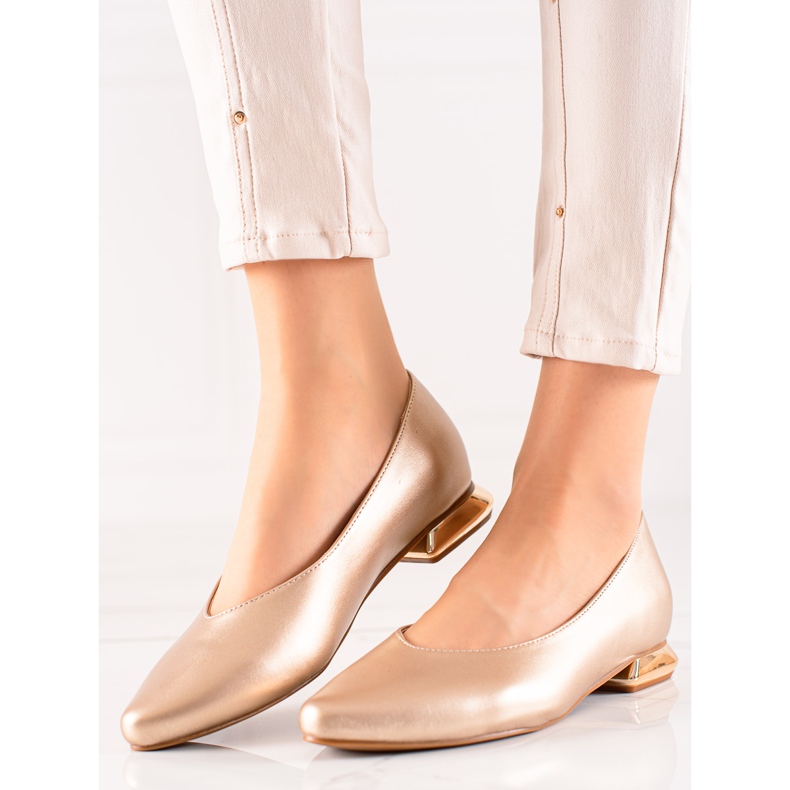 W. Potocki Pompe cu toc Potocki decorativ de aur 1