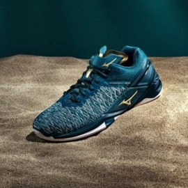 Pantof de handbal Mizuno Wave Stealth Neo M X1GA200051 albastru albastru 5