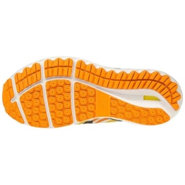 Pantofi de alergare Mizuno Wave Skyrise Amsterdam M J1GC206209 multicolor 1