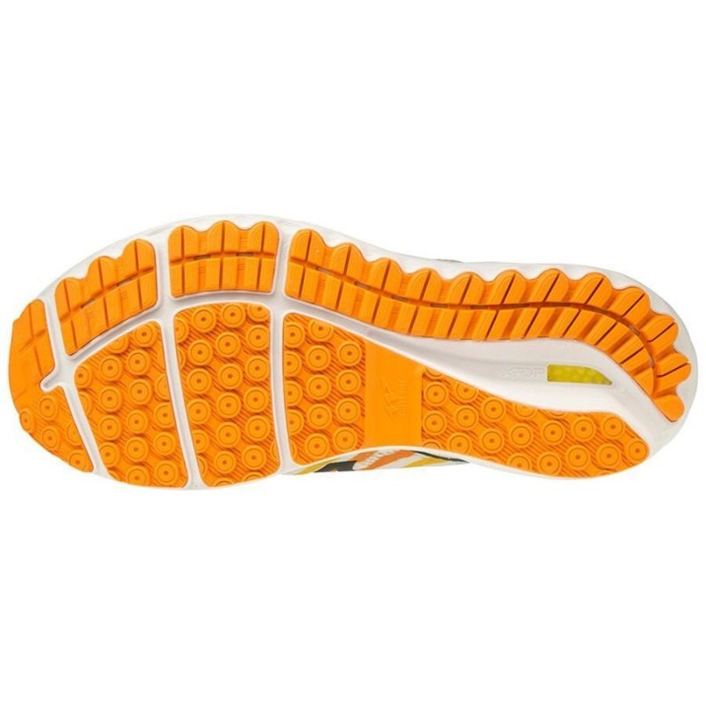 Pantofi de alergare Mizuno Wave Skyrise Amsterdam M J1GC206209 multicolor 1