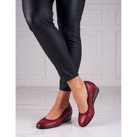 Pompe tip burgundy de W. Potocki roșu 1